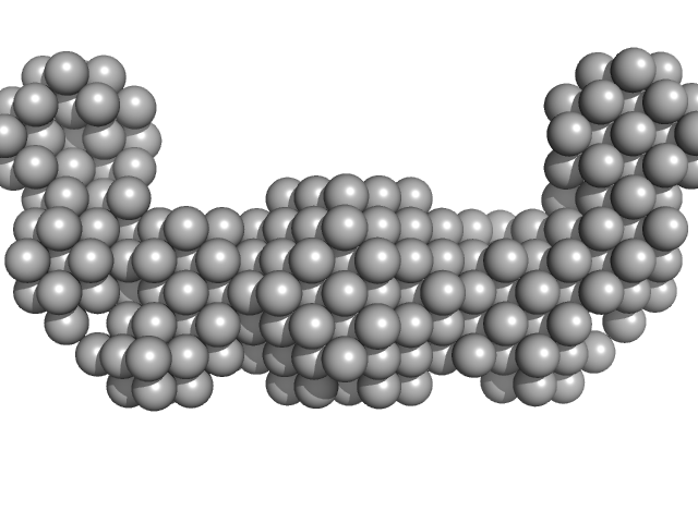 Endolysin  DAMMIF model