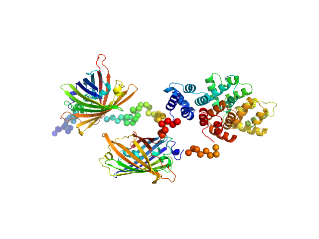 CYNEX4 FRET probe, (eYFP-AnnexinA4-eCFP) T266D mutant CORAL model