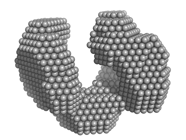 Exportin-1 DAMMIF model