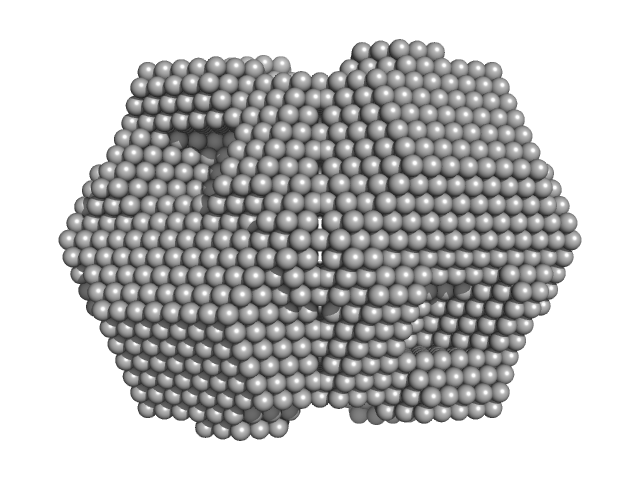 Xylose isomerase DAMMIF model