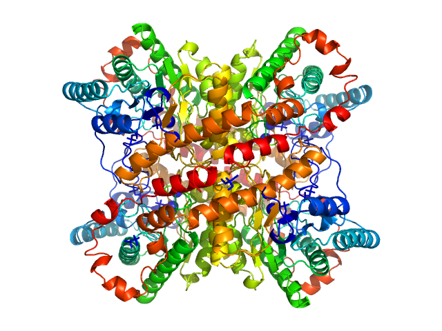 Xylose isomerase PDB (PROTEIN DATA BANK) model