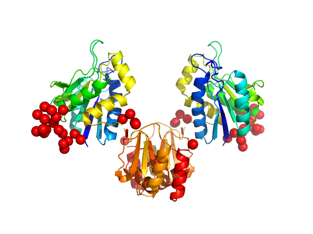 Clostridium difficile bacteriophage 27 endolysin C238R mutant EOM/RANCH model