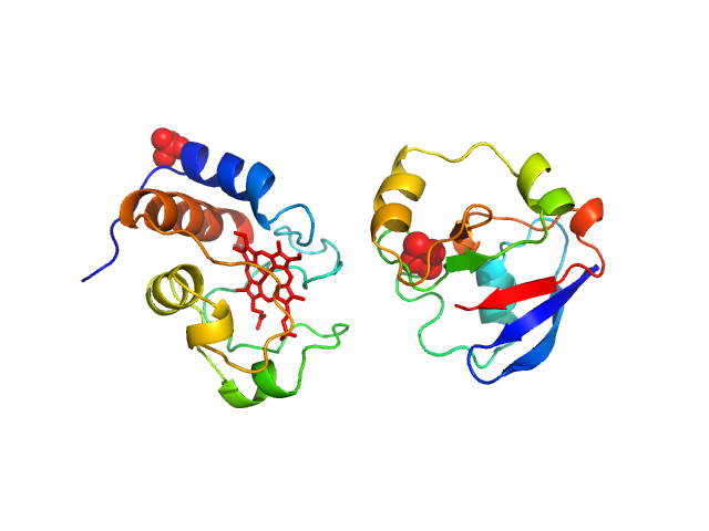 Cytochrome C Adrenodoxin SASREF model