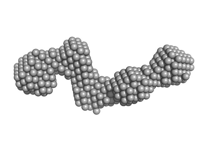 Pre-B-cell leukemia transcription factor 1 Homeobox protein PKNOX1 DAMMIF model