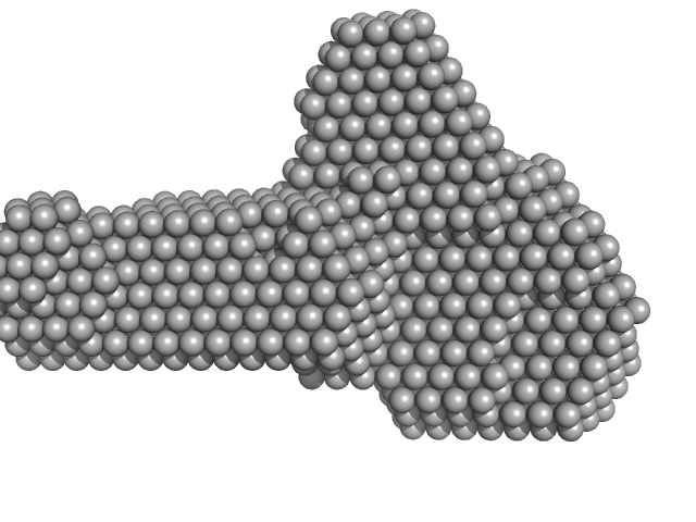 Factor H CCP modules 10 to 15 DAMMIF model