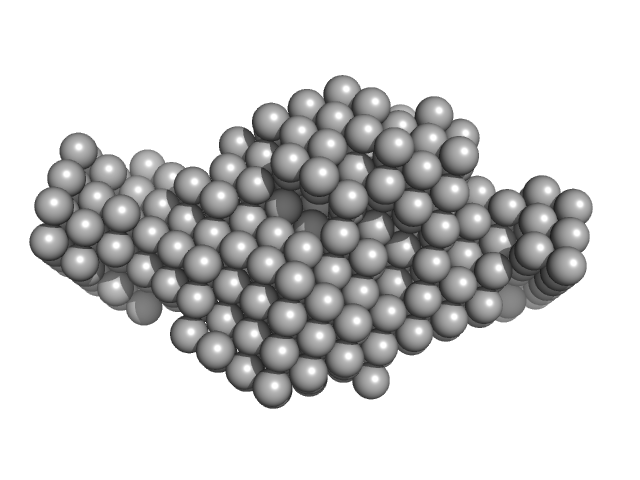 Cysteine desulfurase IscS Iron-sulfur cluster assembly scaffold protein IscU DAMMIF model