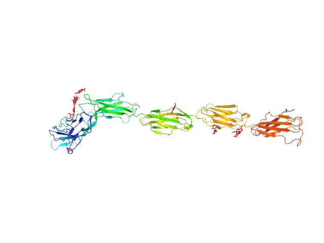 PDB (PROTEIN DATA BANK) model