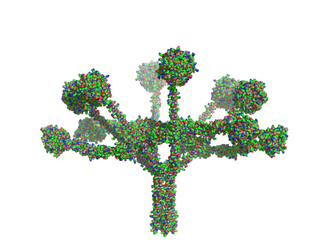 Complement C1q subcomponent subunit C Complement C1q subcomponent subunit B Complement C1q subcomponent subunit A Complement C1r subcomponent Complement C1s subcomponent CORAL model