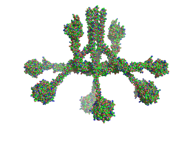 Complement C1q subcomponent subunit C Complement C1q subcomponent subunit B Complement C1q subcomponent subunit A Complement C1r subcomponent Complement C1s subcomponent CORAL model