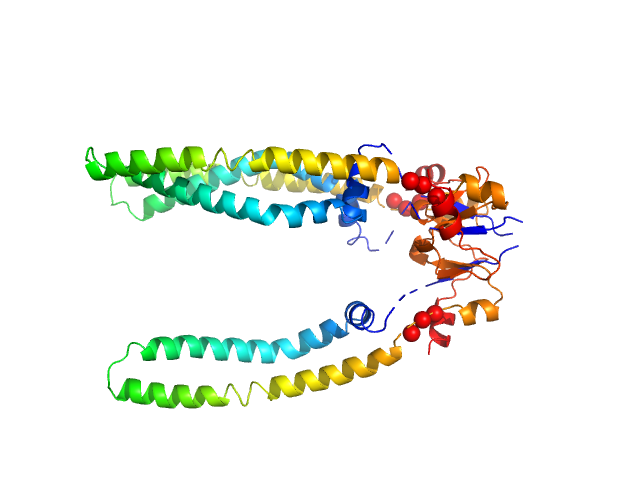 Periplasmic holdase chaperone protein Skp EOM/RANCH model