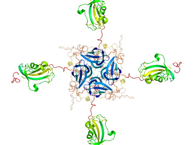 39 kDa FK506-binding nuclear protein EOM/RANCH model