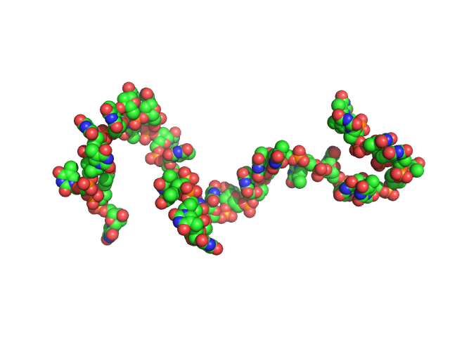 Poly-deoxythymidine (30mer) CUSTOM IN-HOUSE model