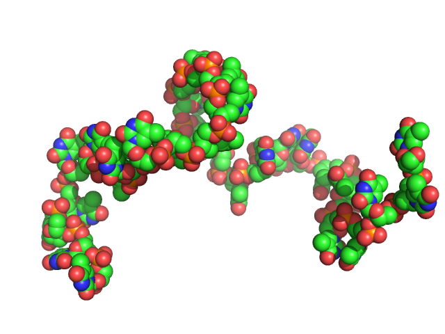 Poly-deoxythymidine (30mer) CUSTOM IN-HOUSE model