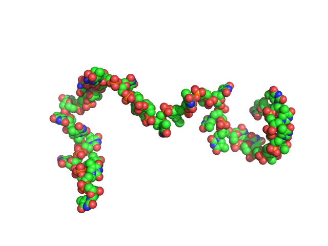 Poly-deoxythymidine (30mer) CUSTOM IN-HOUSE model