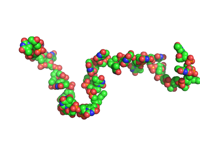 Poly-deoxythymidine (30mer) CUSTOM IN-HOUSE model