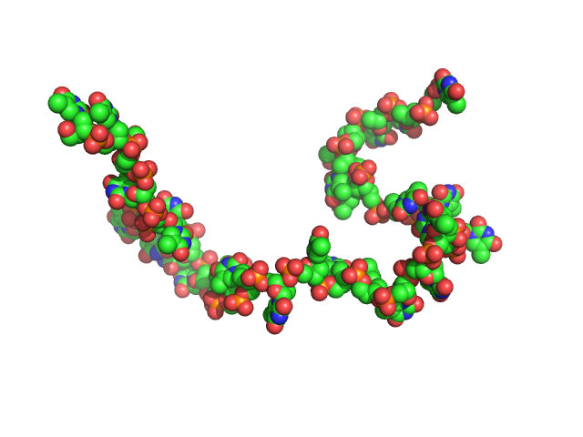 Poly-deoxythymidine (30mer) CUSTOM IN-HOUSE model