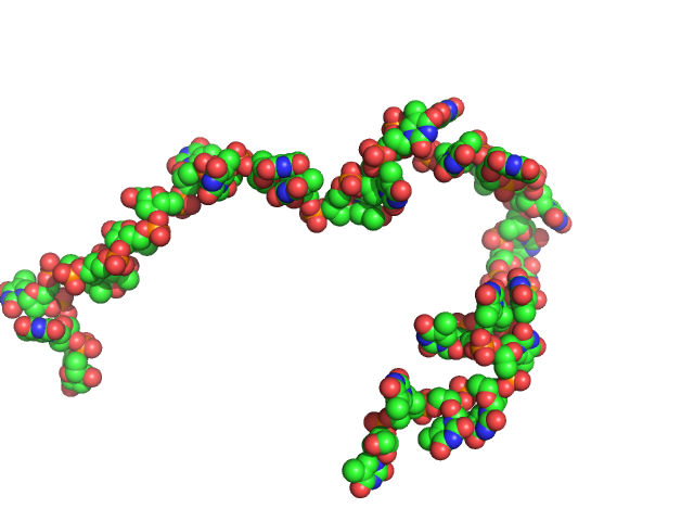 Poly-deoxythymidine (30mer) CUSTOM IN-HOUSE model