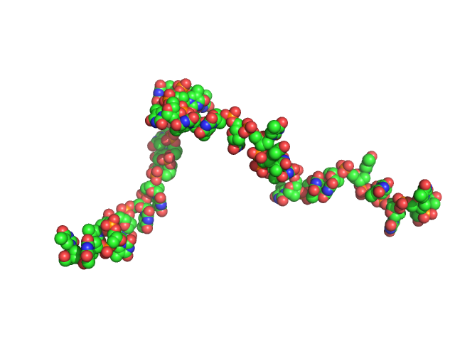 Poly-deoxythymidine (30mer) CUSTOM IN-HOUSE model