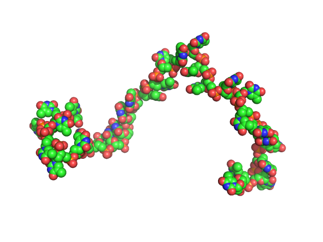 Poly-deoxythymidine (30mer) CUSTOM IN-HOUSE model