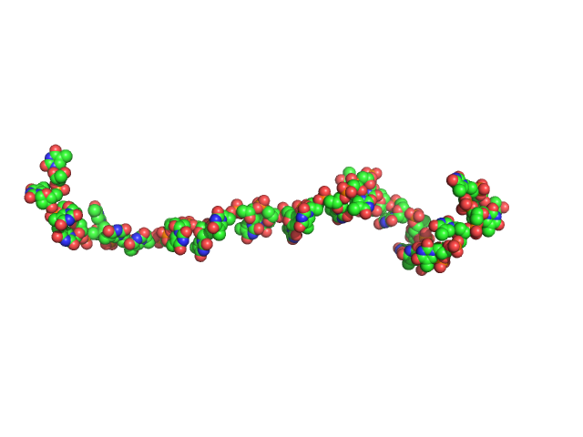 Poly-deoxythymidine (30mer) CUSTOM IN-HOUSE model