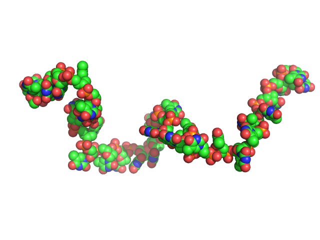 Poly-deoxythymidine (30mer) CUSTOM IN-HOUSE model