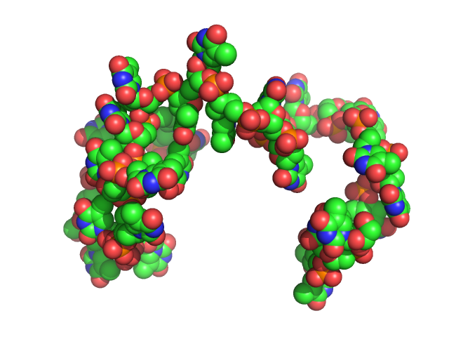 Poly-deoxythymidine (30mer) CUSTOM IN-HOUSE model