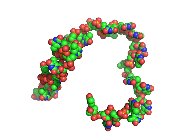 Poly-deoxythymidine (30mer) CUSTOM IN-HOUSE model