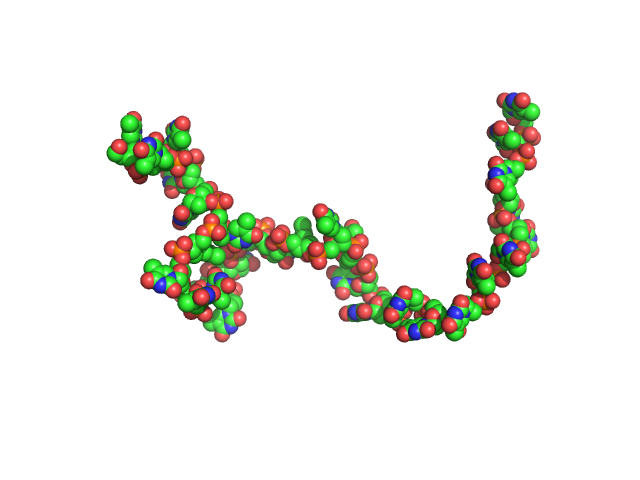 Poly-deoxythymidine (30mer) CUSTOM IN-HOUSE model