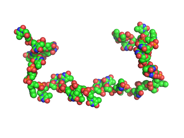 Poly-deoxythymidine (30mer) CUSTOM IN-HOUSE model