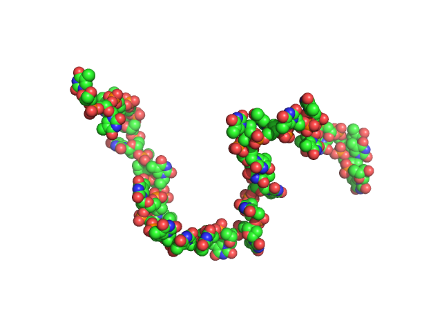 Poly-deoxythymidine (30mer) CUSTOM IN-HOUSE model