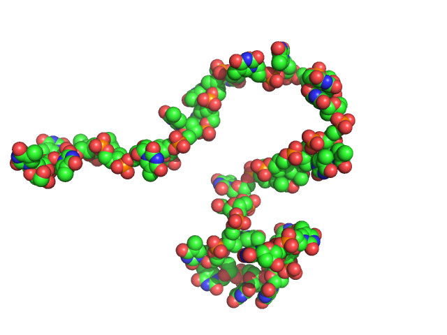 Poly-deoxythymidine (30mer) CUSTOM IN-HOUSE model