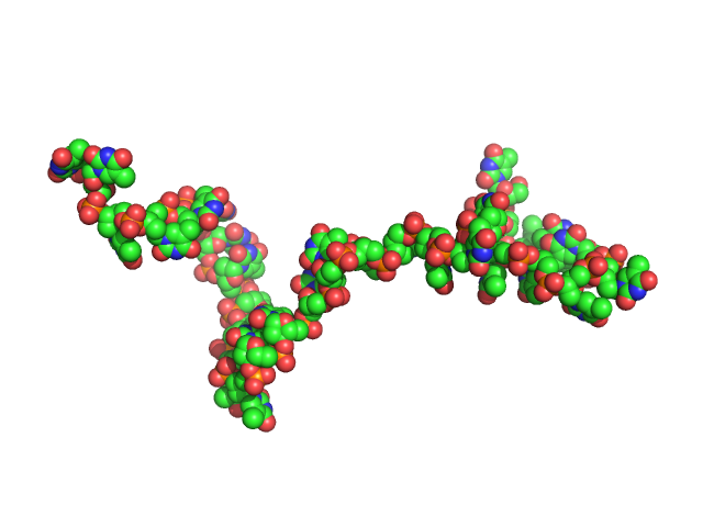 Poly-deoxythymidine (30mer) CUSTOM IN-HOUSE model