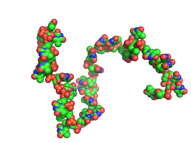 Poly-deoxythymidine (30mer) CUSTOM IN-HOUSE model