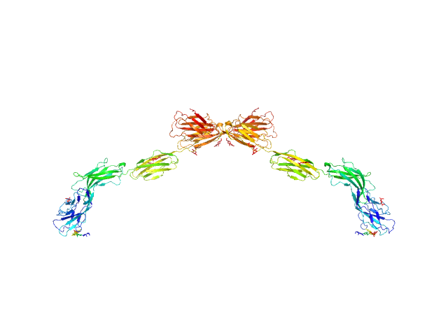 PDB (PROTEIN DATA BANK) model