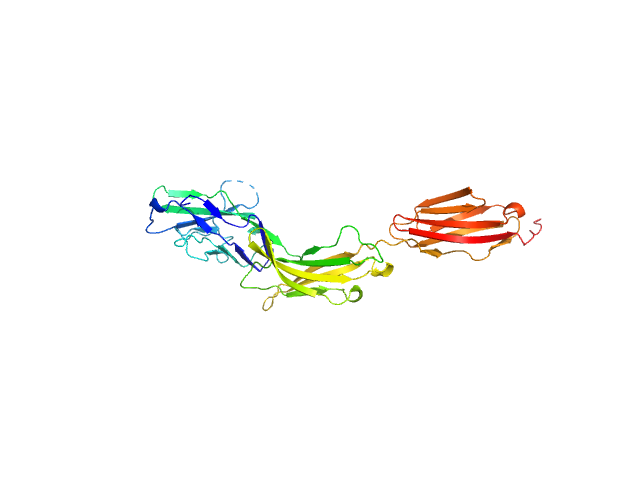 PDB (PROTEIN DATA BANK) model