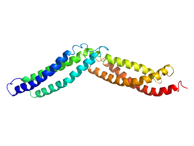 Dystrophin central domain repeats 16 to 17. NONE model