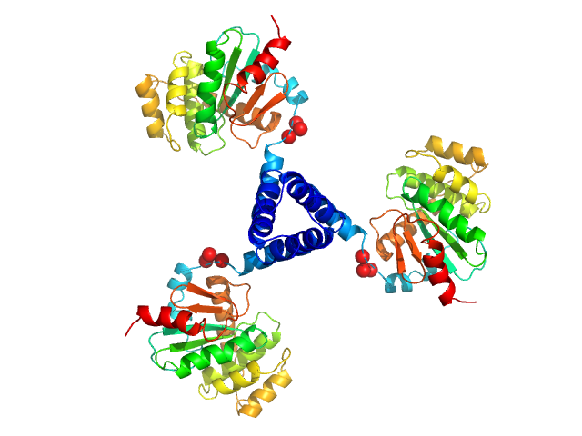 C-terminal catalytic domain of Suppressor of Copper Sensitivity C protein EOM/RANCH model