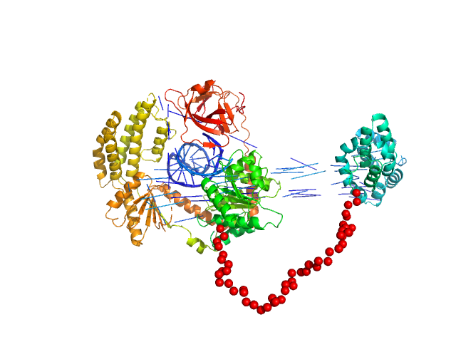 Probable ATP-dependent RNA helicase DDX58 5´ppp 10mer hairpin dsRNA EOM/RANCH model
