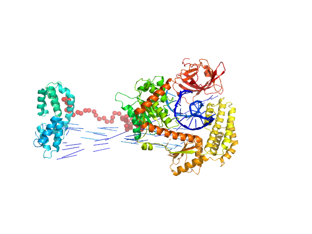 Probable ATP-dependent RNA helicase DDX58 5´ppp 10mer hairpin dsRNA EOM/RANCH model