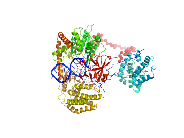 Probable ATP-dependent RNA helicase DDX58 5´ppp 10mer hairpin dsRNA EOM/RANCH model