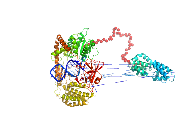 Probable ATP-dependent RNA helicase DDX58 5´ppp 10mer hairpin dsRNA EOM/RANCH model