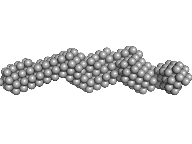 Plakin domain fragment of Human plectin encompassing spectrin repeats SR7-SR8-SR9 DAMMIF model