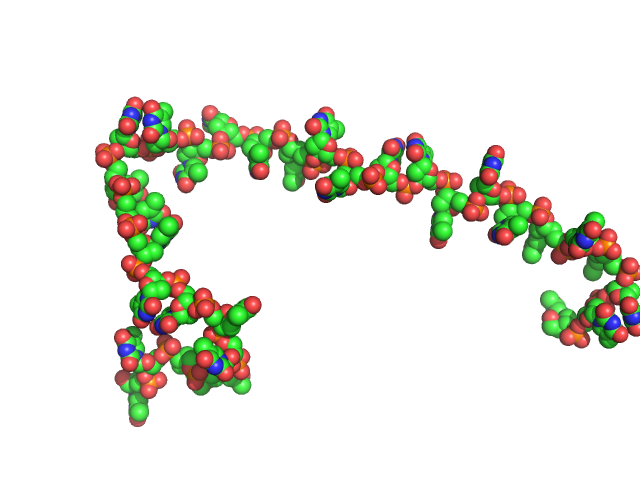 Poly-deoxythymidine (30mer) CUSTOM IN-HOUSE model
