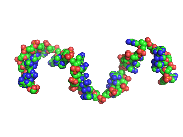 Poly-deoxyadenosine (30mer) CUSTOM IN-HOUSE model