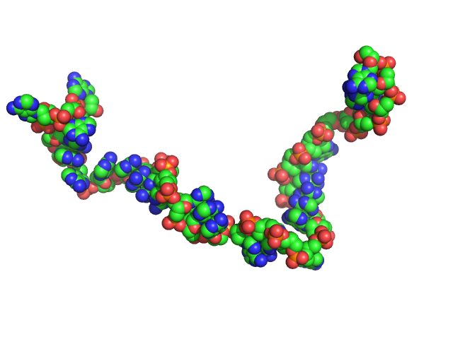 Poly-deoxyadenosine (30mer) CUSTOM IN-HOUSE model