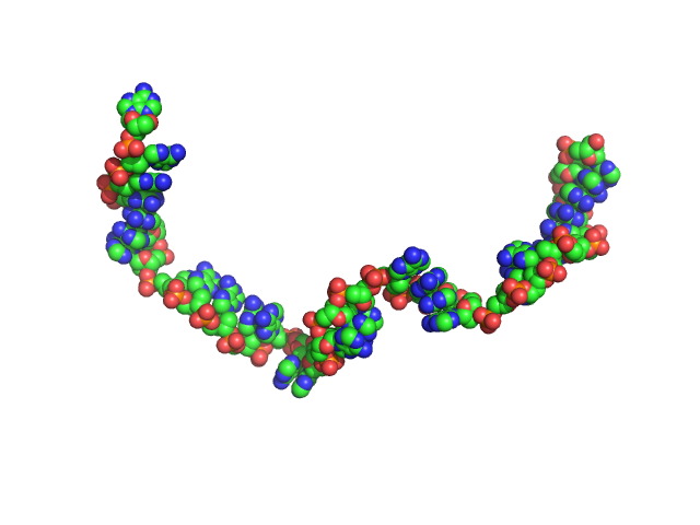 Poly-deoxyadenosine (30mer) CUSTOM IN-HOUSE model