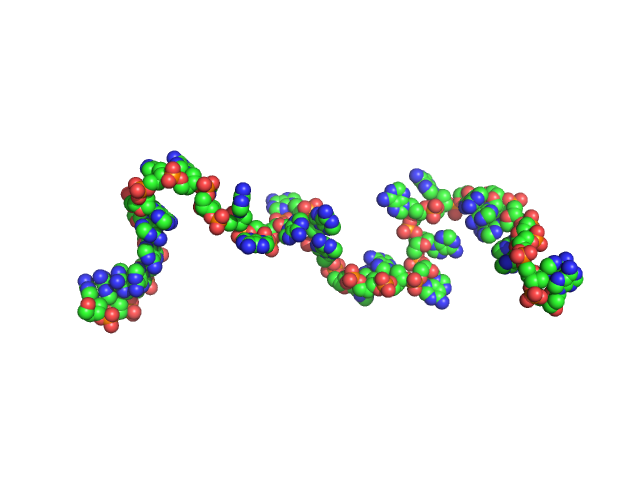 Poly-deoxyadenosine (30mer) CUSTOM IN-HOUSE model