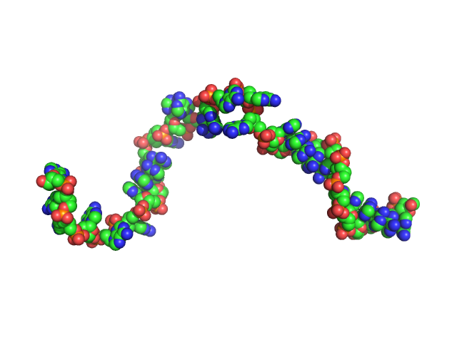 Poly-deoxyadenosine (30mer) CUSTOM IN-HOUSE model