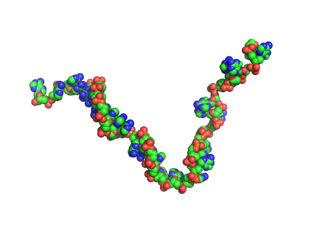 Poly-deoxyadenosine (30mer) CUSTOM IN-HOUSE model