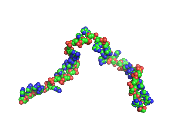 Poly-deoxyadenosine (30mer) CUSTOM IN-HOUSE model